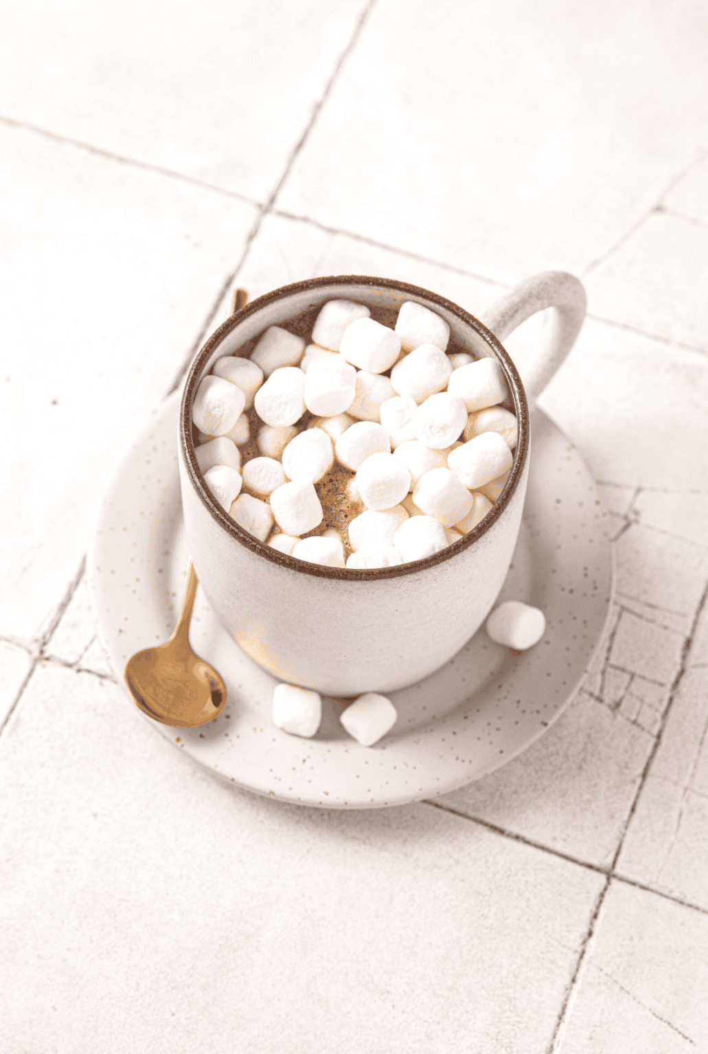 Easy Protein Powder Hot Chocolate Recipe (Dairy Free) Pretty