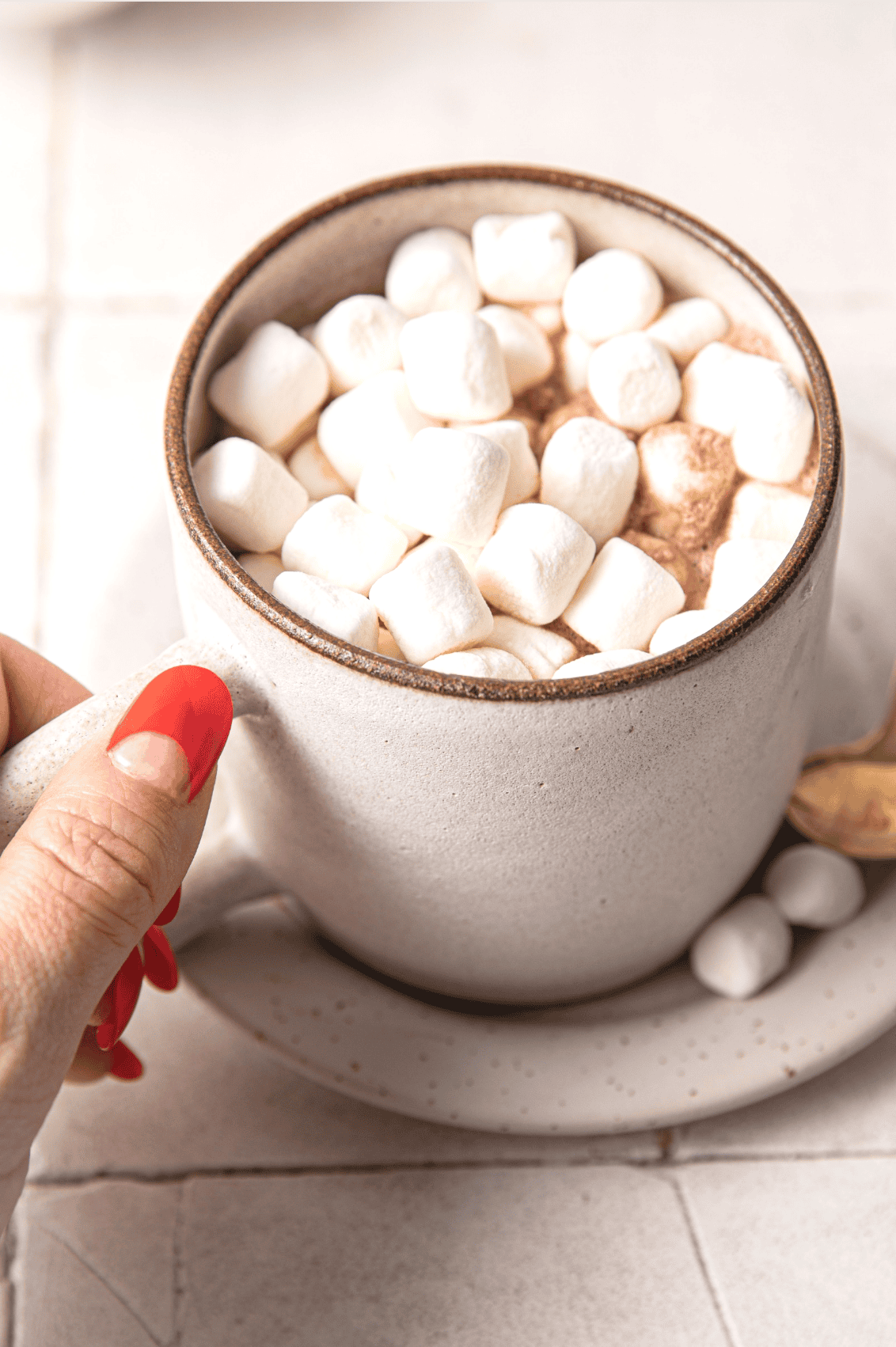 Easy Protein Powder Hot Chocolate Recipe (Dairy Free) Pretty Delicious Life