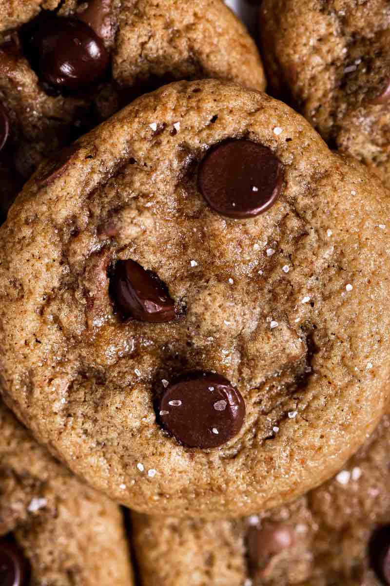 chocolate chip cookie