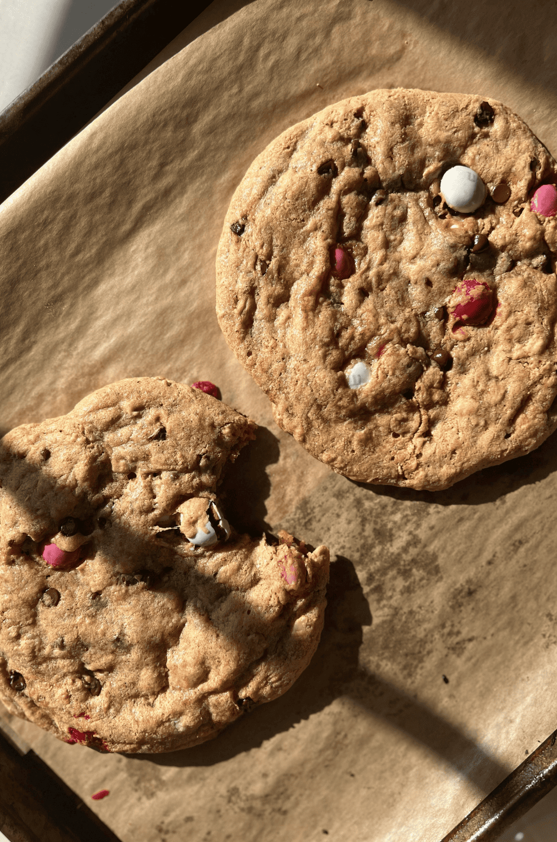 gluten free protein cookies