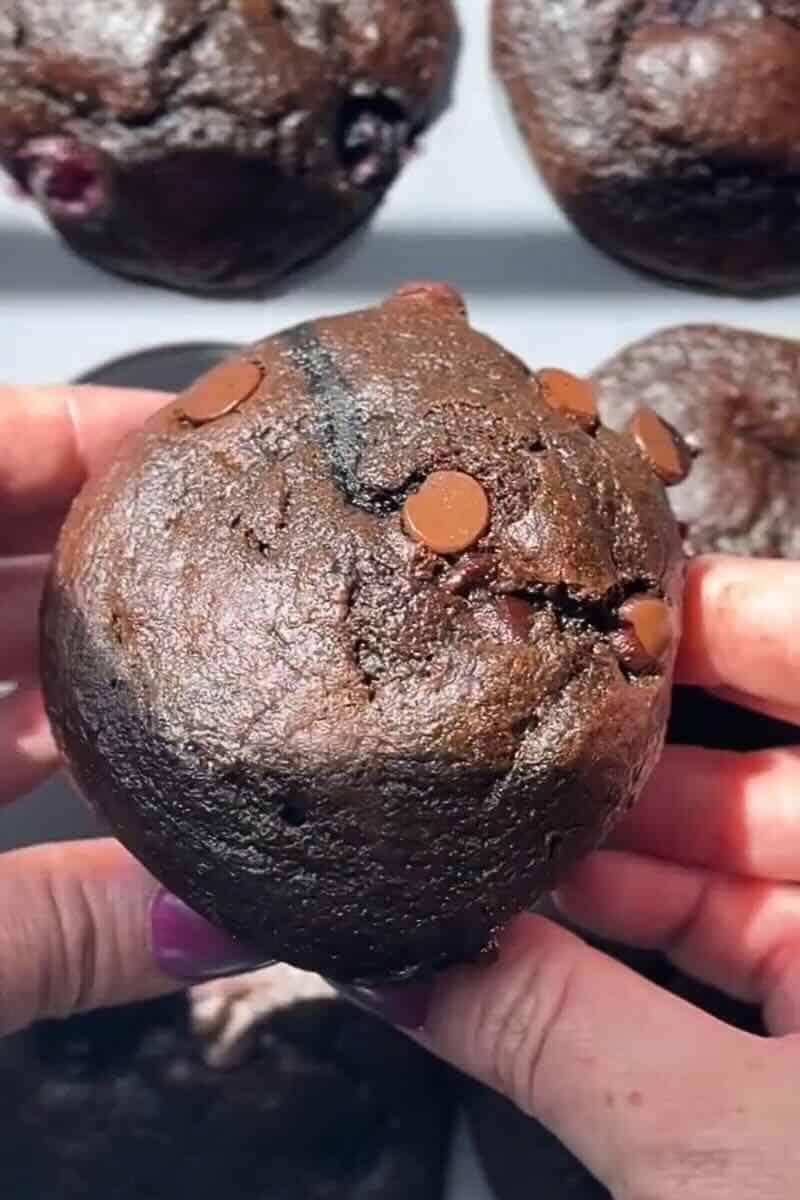chocolate protein muffins