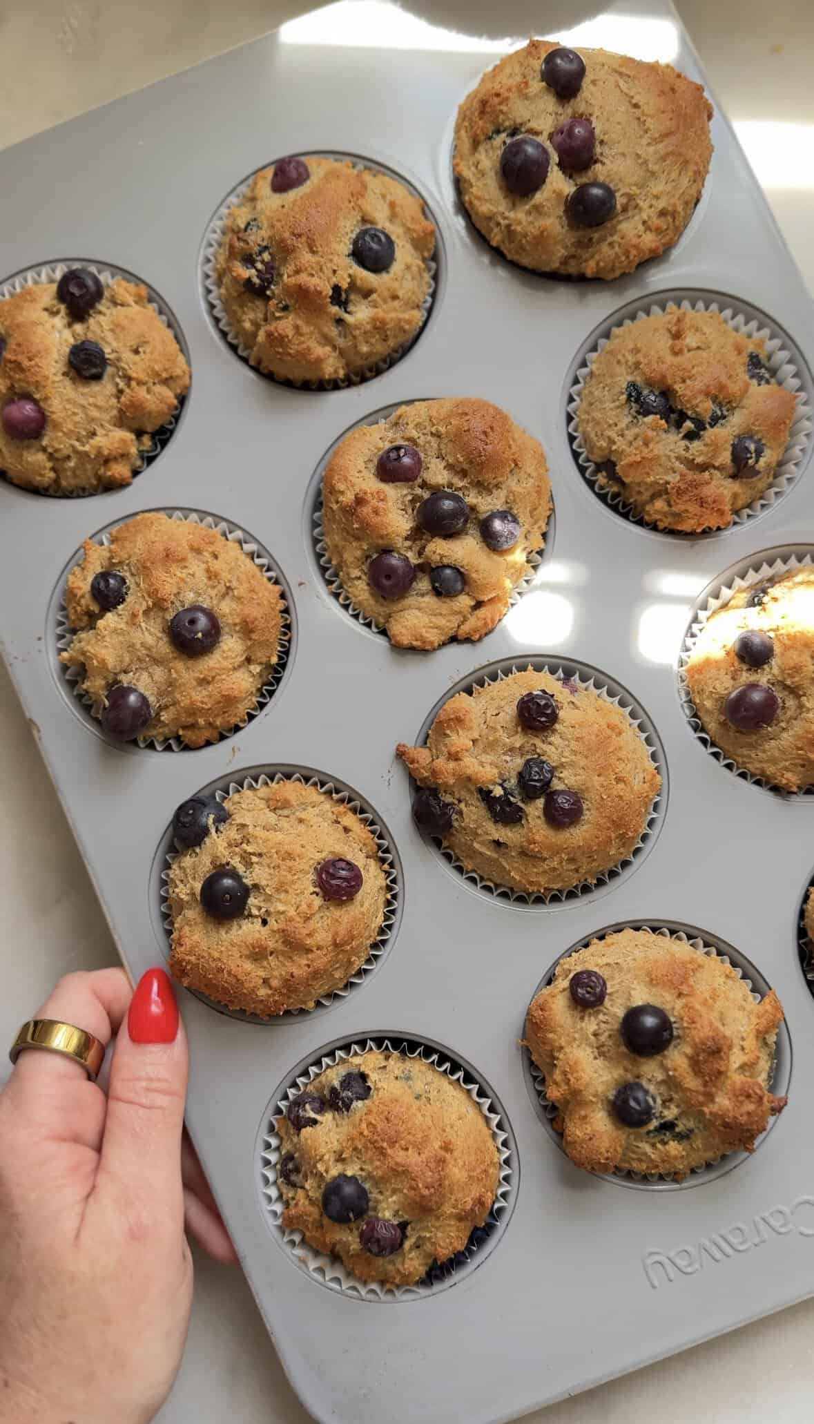Finished Gluten Free Blueberry Cottage Cheese Protein Muffins in the muffin tin.