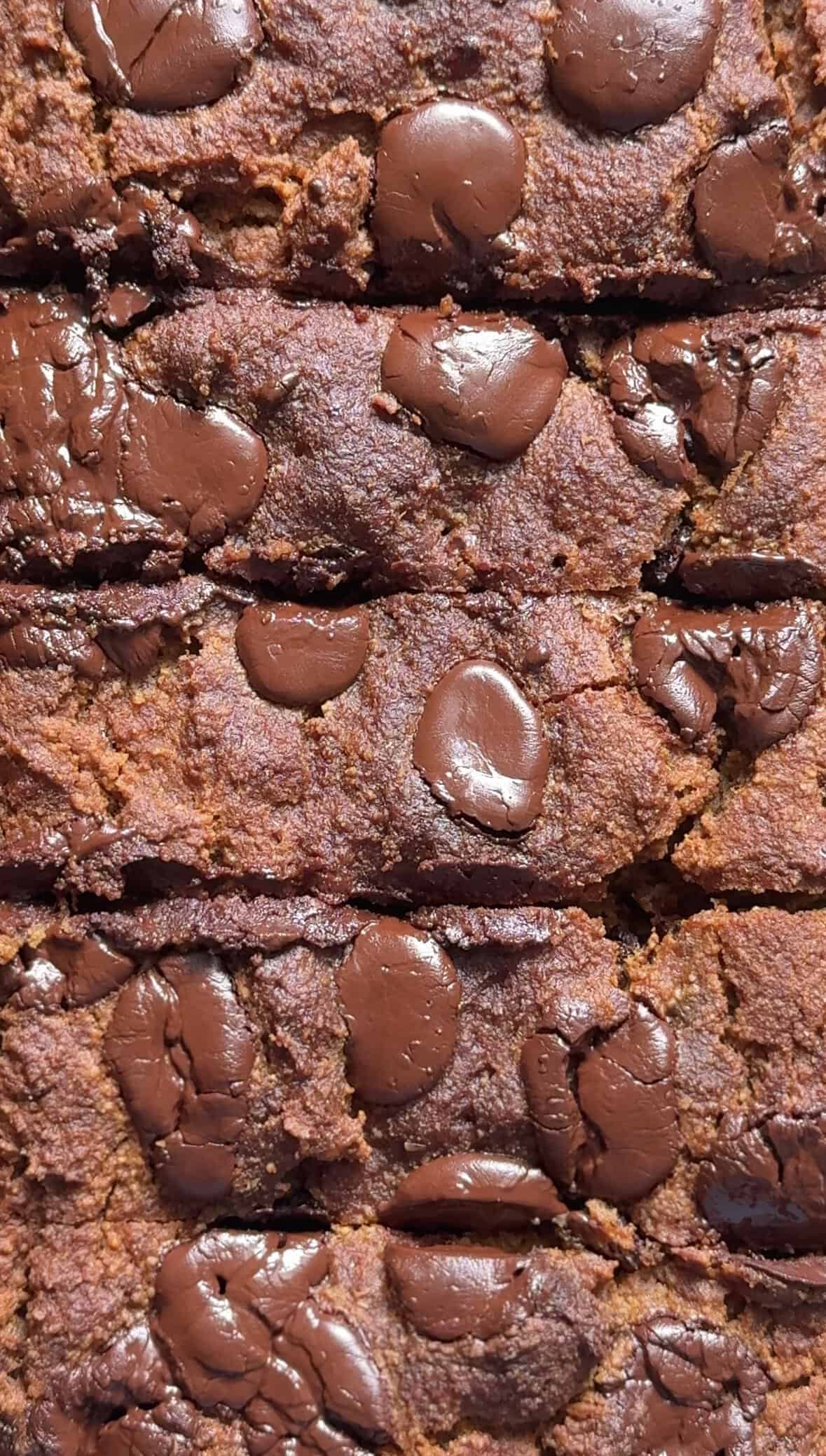 Top close up view of the chocolate chips on top of the Gluten Free Protein Pumpkin Bread slices.