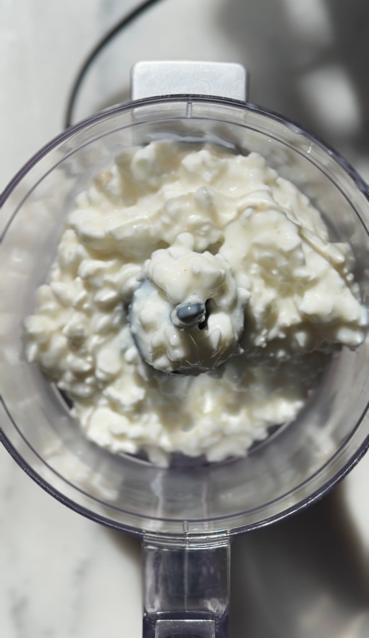 Add the cottage cheese to be blended in the food processor.