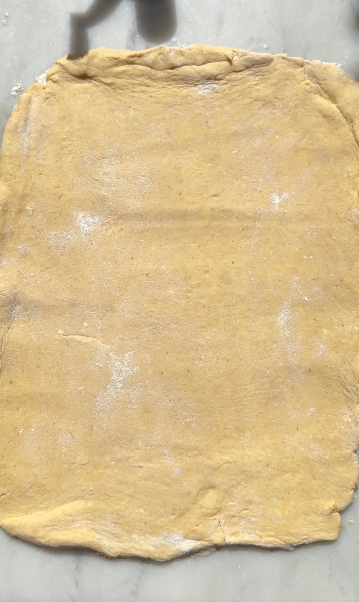 Make a thin rectangle of the pumpkin cinnamon roll dough on the counter.